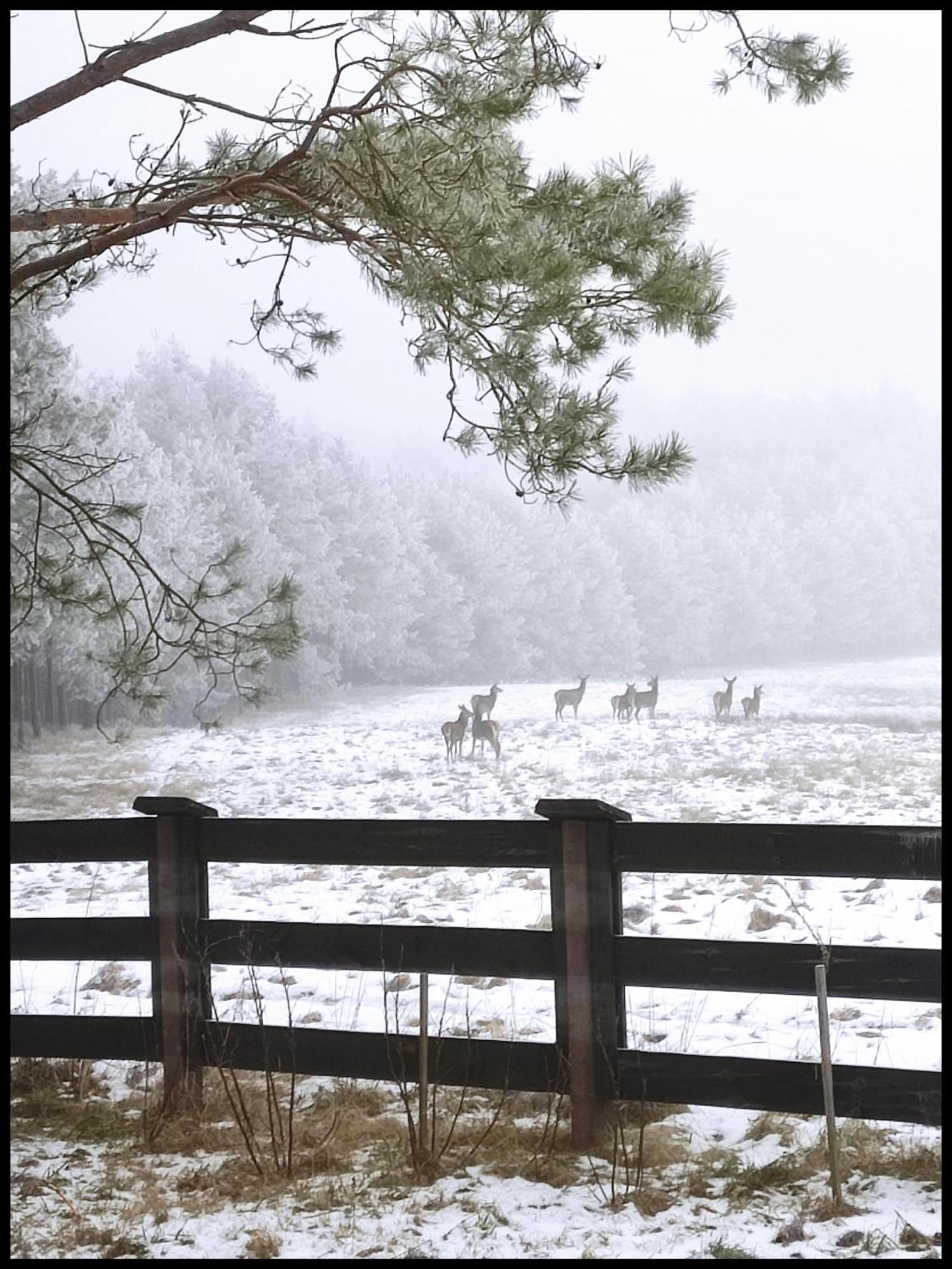 Hankowka Mazury Jerutki Exterior foto